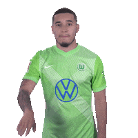 Vfl Wolfsburg Goodbye Sticker by Bundesliga