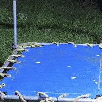 Excited Wildlife GIF by Respective