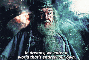 harry potter typical quotes GIF