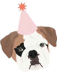 Fiesta Sticker by Fig Balloon Co