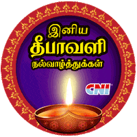 Festival Lights Sticker by CNI
