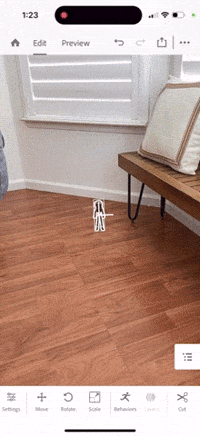 Animated GIF