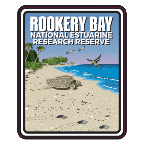Aquatic Preserve Sticker by FLDEP