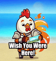 Wish You Were Here Beach GIF by Zorooster