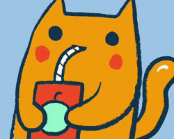 Cat Drinking GIF