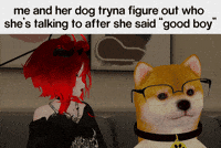 ZakkieVR vrchat good boy puppy meme zakkievr GIF