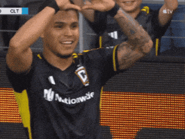 Regular Season Love GIF by Major League Soccer