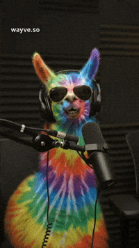 Cats Feels GIF by Darwin