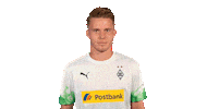 Nico Elvedi Bundesliga Sticker by Borussia Mönchengladbach