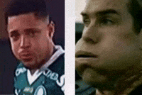 Palmeiras GIF