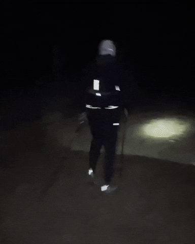 Night Woods GIF