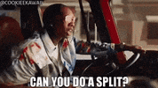 GIF by Graduation