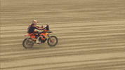 Racing Bike GIF by Amaury Sport Organisation