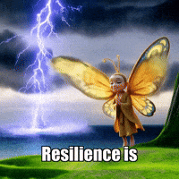 Wisdom Strength GIF by BuddhaFlyJourney
