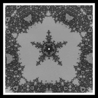 Loop Nft GIF by xponentialdesign