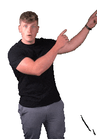 emmomusicire emmo emmo ireland emmo music lemon sun Sticker