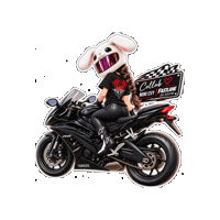 Motorcycle Rider Sticker