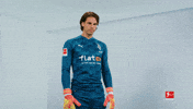 Come On Please GIF by Bundesliga