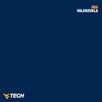 Softball GIF by WVU Tech Golden Bears