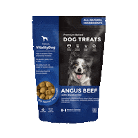 Dogs Puppy Sticker by Foley Dog Treat Company