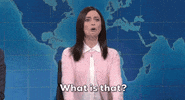 Snl GIF by Saturday Night Live