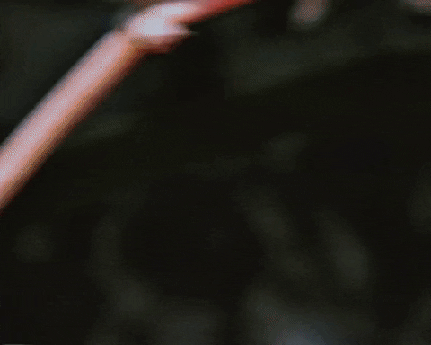 Meme Reaction GIF