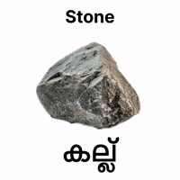Pinarayi Vijayan Rock GIF