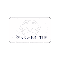 immobilier cesaretbrutus cesarbrutus cesaretbrutusparis immolyon Sticker