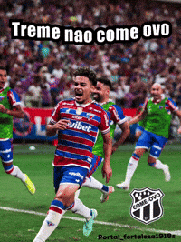 Fortaleza Ec Fec GIF