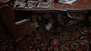 Eddie Murphy Gun GIF