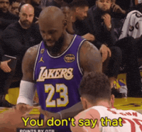Angry Lebron GIF by Respective