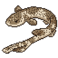 Chile Tiburon Sticker