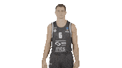 Dangubic Kkpartizan Sticker by sportmts