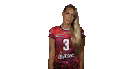 Тула Sticker by Tulitsa