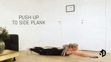 6-Directions  GIF
