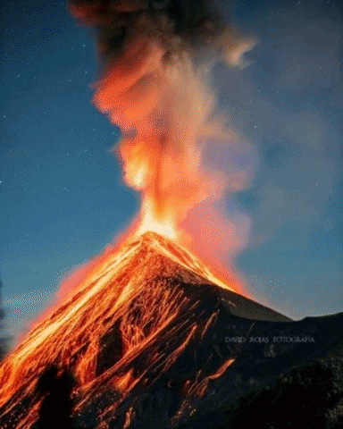 karinaroche8223 giphygifmaker GIF