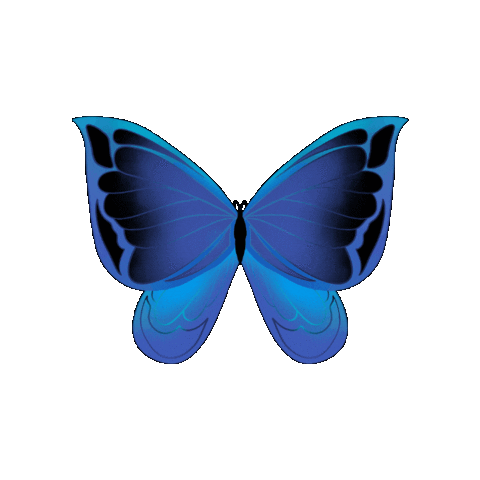 Butterfly Papillon Sticker