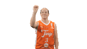 Basketball Knock Sticker by Tango Bourges Basket