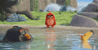 sony pictures trailer GIF by Angry Birds