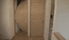 door GIF