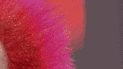 darts bahrain cbx cbxsarl williamhill GIF