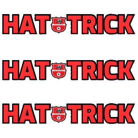 Lets Go Football Sticker by Ashton Pumas Womens