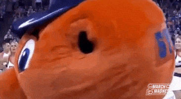 College Basketball Sport GIF by NCAA March Madness