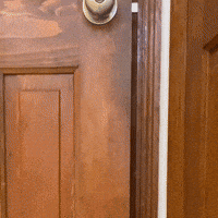 Excited Oh No GIF