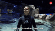 Shark Week Sharks GIF by BuzzFeed