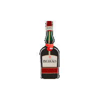 friends drinking Sticker by Licor Beirão