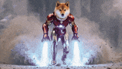 Dogegf Avenger GIF by DogeGF