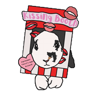 bosshappythebunny kiss bunny kissingbooth bunnykiss Sticker