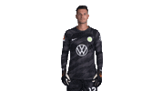 Pavao Pervan Football Sticker by VfL Wolfsburg