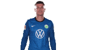 Pavao Pervan Sport Sticker by VfL Wolfsburg